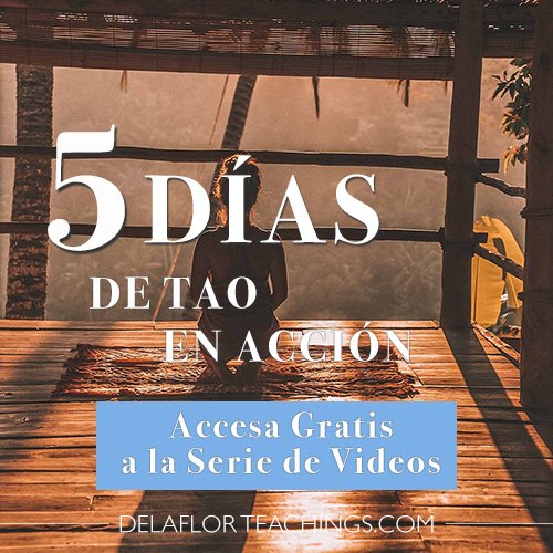 5 Dias de Tao en Accion